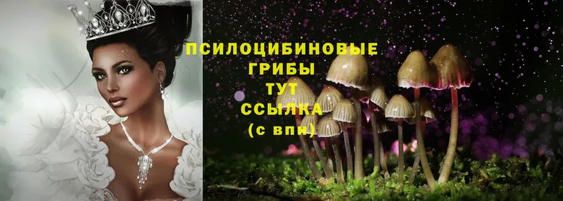 Галлюциногенные грибы Magic Shrooms  Рубцовск 